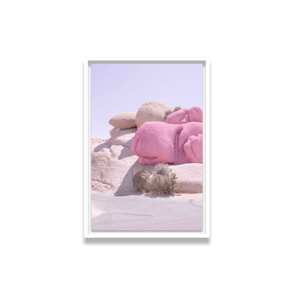 camel, 2017