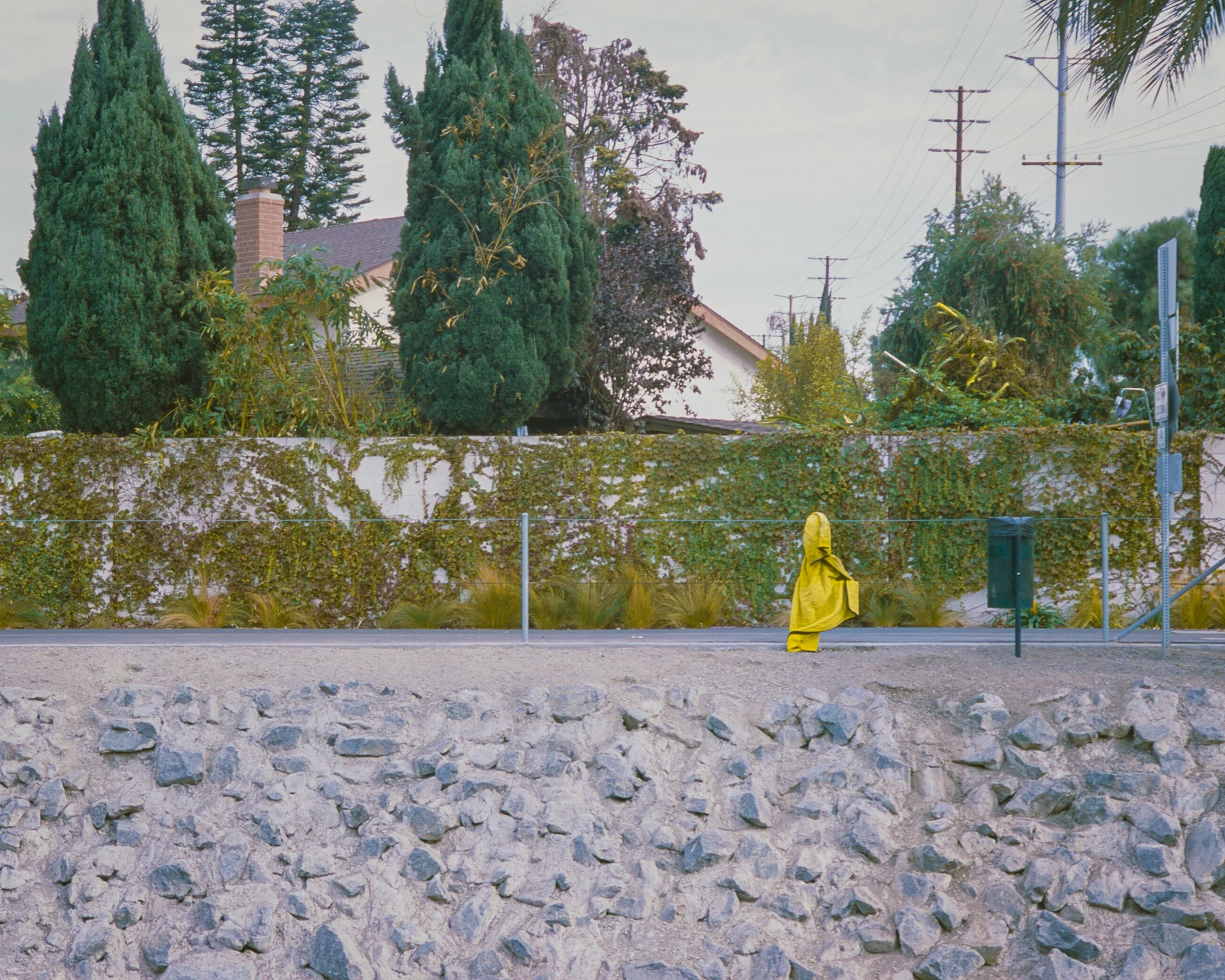 Left Behind, 2017
